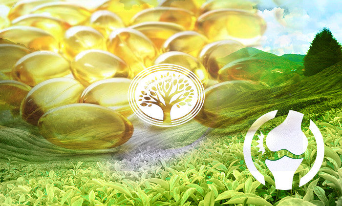 Vitamin D3: A Sunshine Vitamin to Boost Your Bone Health