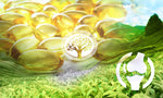 Vitamin D3: A Sunshine Vitamin to Boost Your Bone Health
