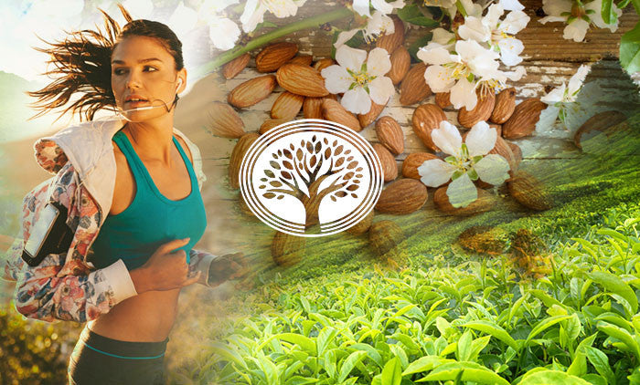 Vitamin E: An Impeccable Nutrient for Healthy and Heart