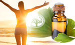 Ginkgo Biloba - One Herb, Endless Health Benefits