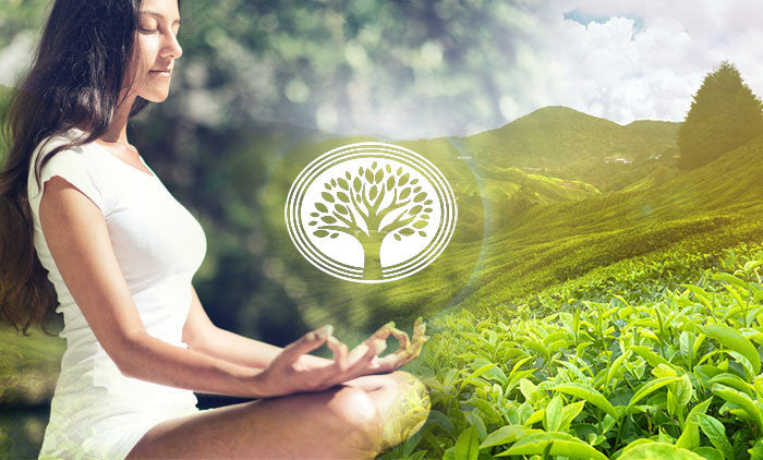 Psyllium Husk - A Natural and Pure Source of Fiber