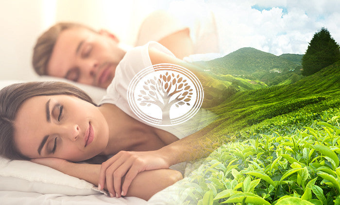 Melatonin – A Natural Supplement for Your Good Night’s Sleep