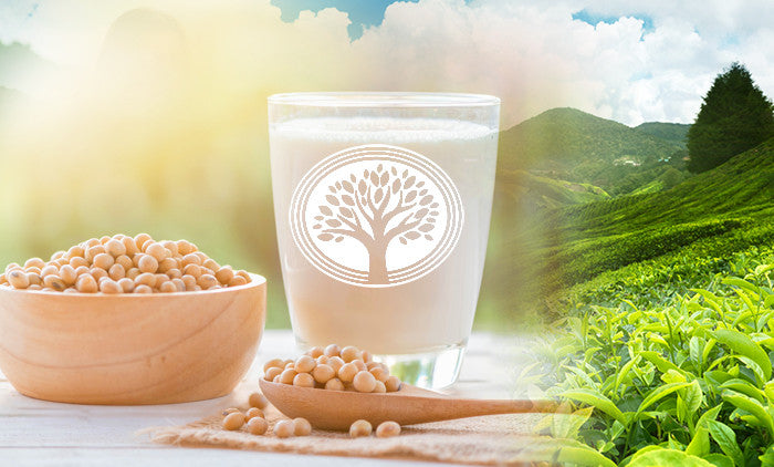 Soy Protein for Super Nutrition
