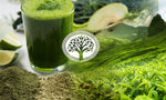 Rejuvenate Your Health with Organic Spirulina