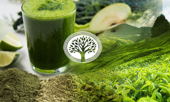 Folic Acid - Your Fast-Track for Health & Wellness